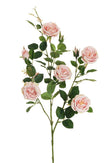 Branche de Rose