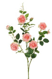 Branche de Rose