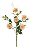 Branche de Rose