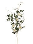 Branche de Rosier