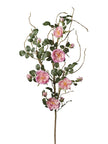 Branche de Rosier