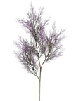 Branche de cytisus