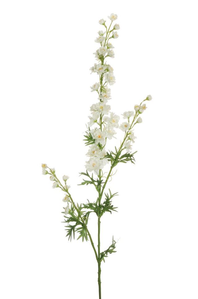 Branche de delphinium