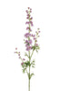Branche de delphinium
