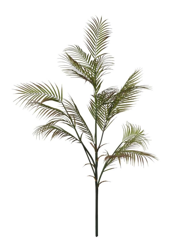 Branche de feuillage