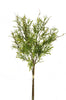 Branche de hipericum