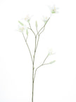 Branche de lys