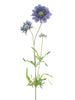 Branche de marguerite