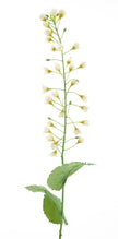 Branche de mini fleurs
