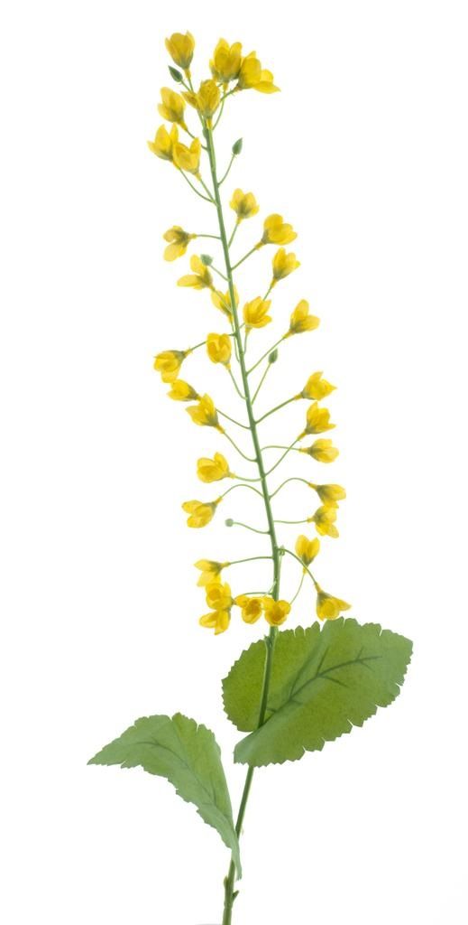 Branche de mini fleurs