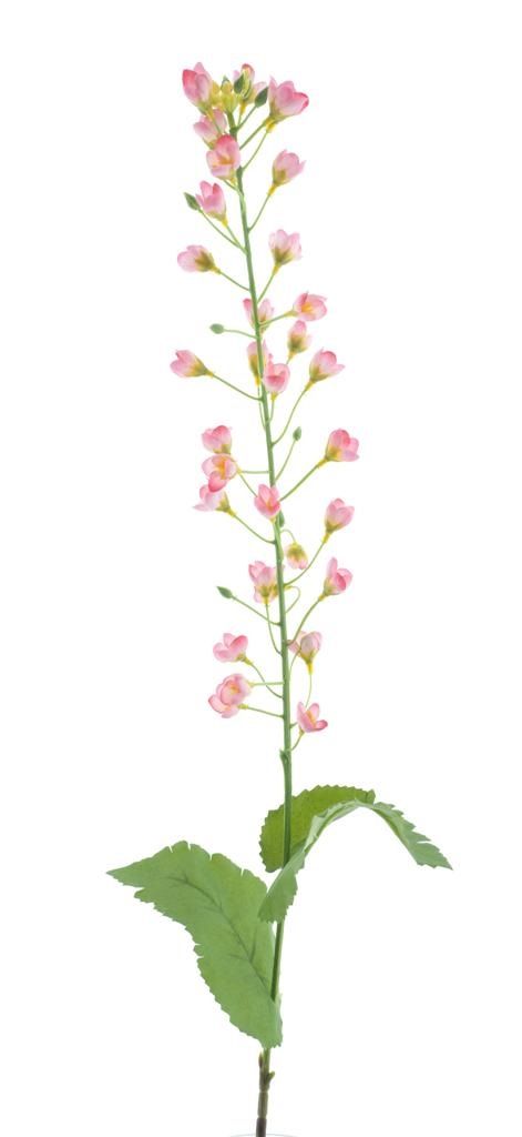 Branche de mini fleurs