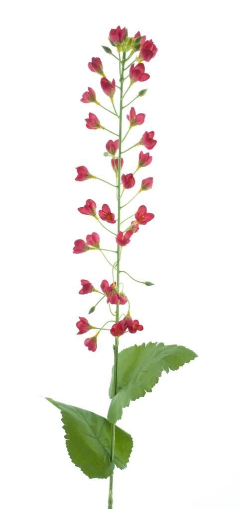 Branche de mini fleurs