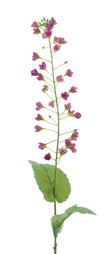 Branche de mini fleurs