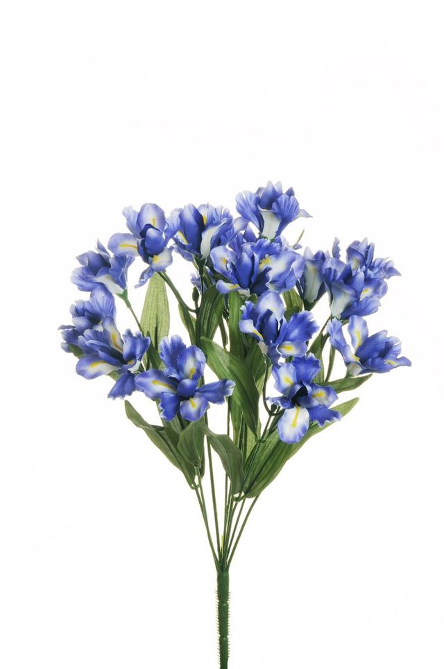 Branche de mini iris