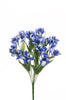 Branche de mini iris