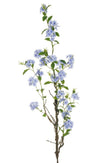 Branche de plumbago