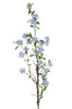 Branche de plumbago