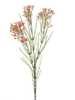 Branche wax fleur