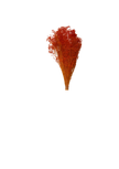 Broom Bloom