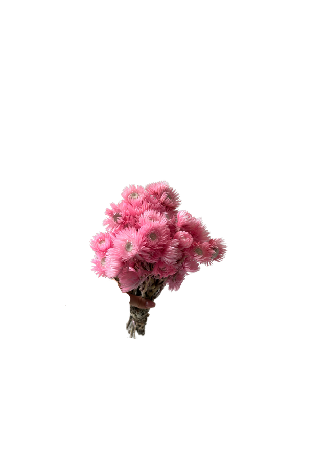 Cap Flowers