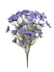 Cosmos