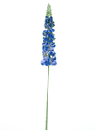 Dellphinium