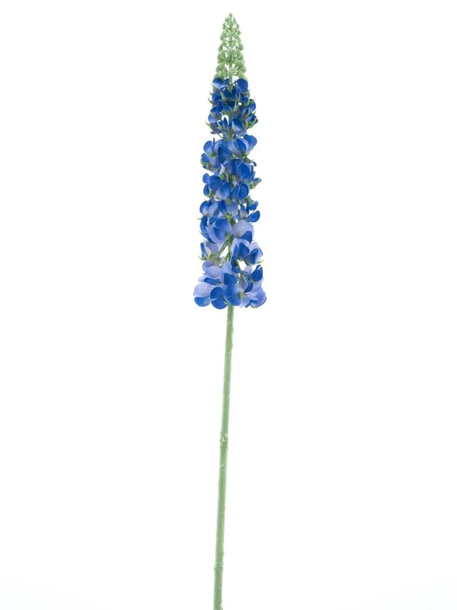 Dellphinium