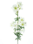 Dellphinium sur branche