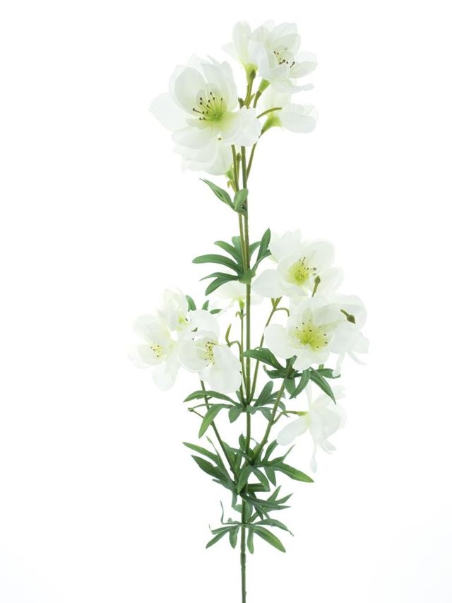 Dellphinium sur branche