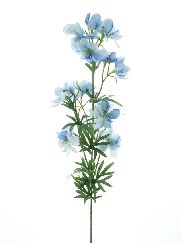 Dellphinium sur branche