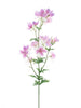 Dellphinium sur branche