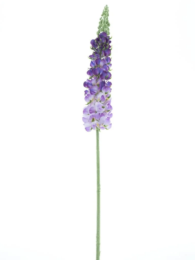 Dellphinium