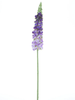 Dellphinium
