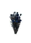 Echynops