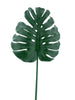 Feuille de monstera