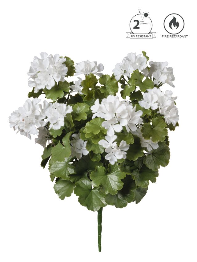 Geranium