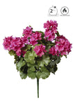 Geranium