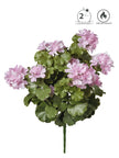Geranium