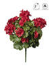 Geranium