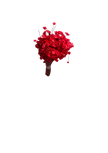 Glixia