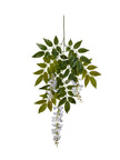 Glycine