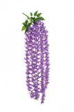 Glycine suspendue