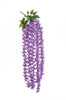 Glycine suspendue