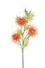 Grevillea