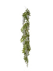 Guirlande de glycine