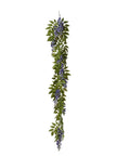 Guirlande de glycine