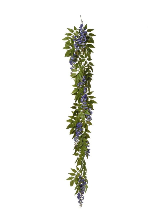 Guirlande de glycine