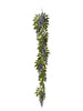 Guirlande de glycine