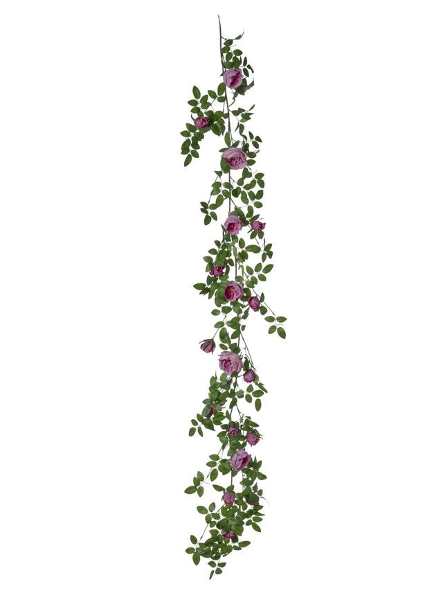 Guirlande de rose