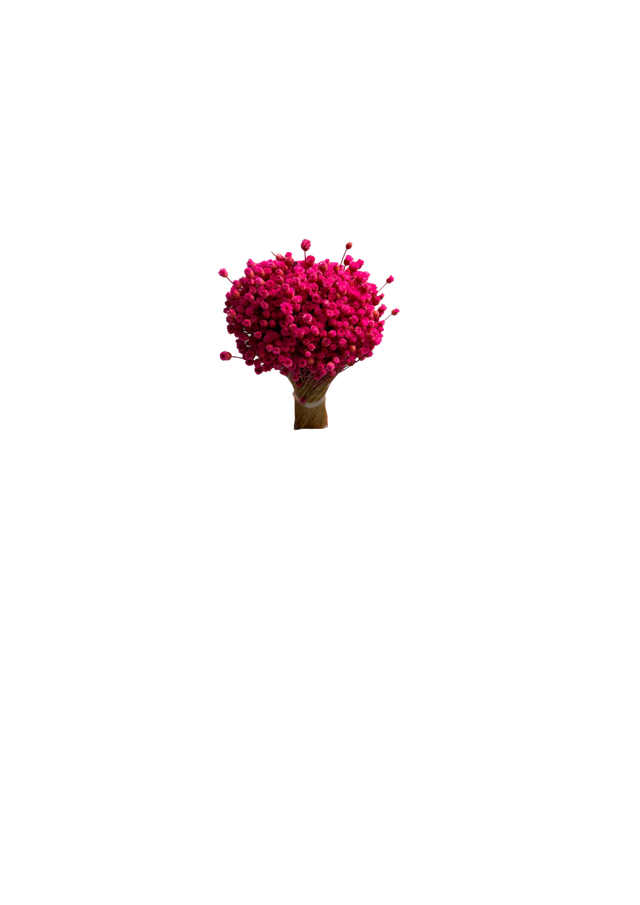 Happy Flower